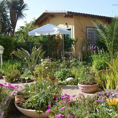 Le Cicale Villa Casal Palocco Dış mekan fotoğraf