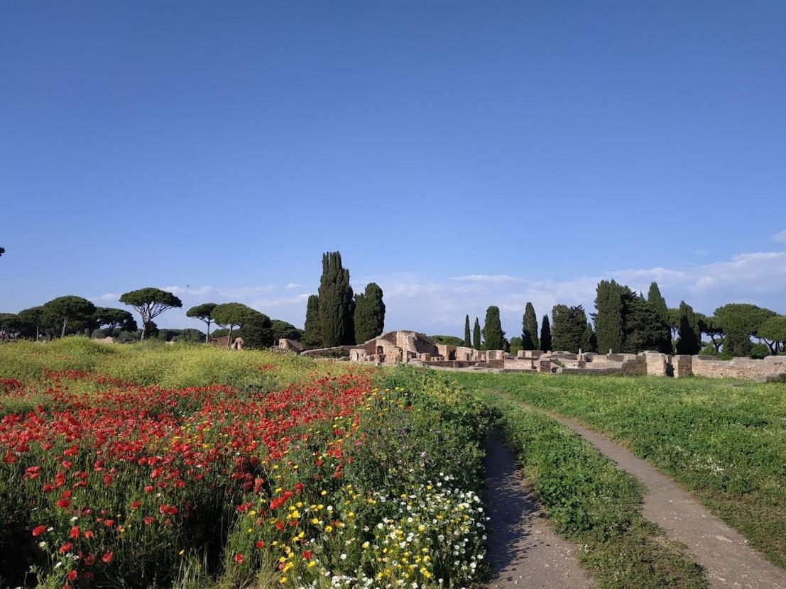 Le Cicale Villa Casal Palocco Dış mekan fotoğraf