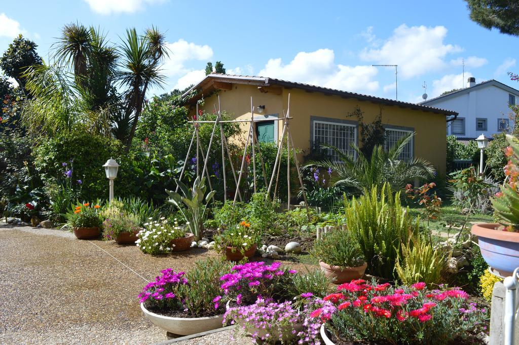 Le Cicale Villa Casal Palocco Dış mekan fotoğraf