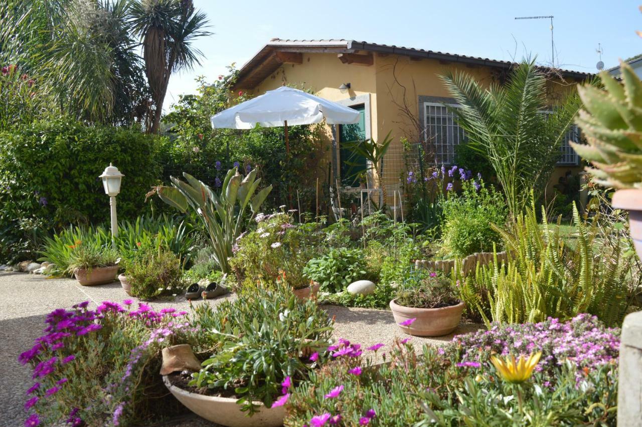 Le Cicale Villa Casal Palocco Dış mekan fotoğraf