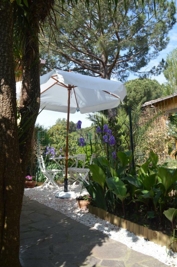 Le Cicale Villa Casal Palocco Dış mekan fotoğraf