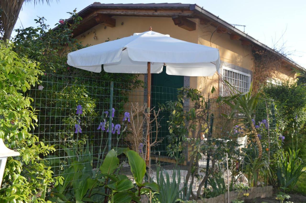 Le Cicale Villa Casal Palocco Dış mekan fotoğraf